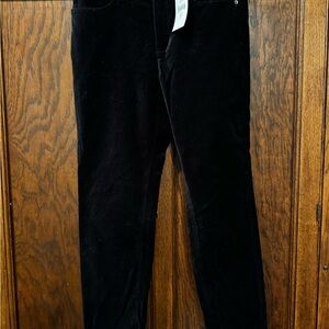 J. Jill Midnight Black Velvet Trousers